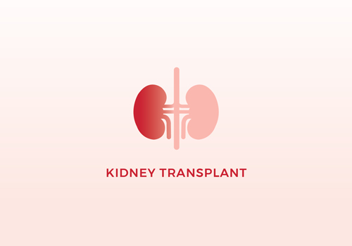 drawing of kidneys